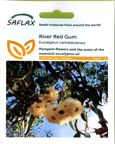 Eucalyptus River Red Gum Seeds